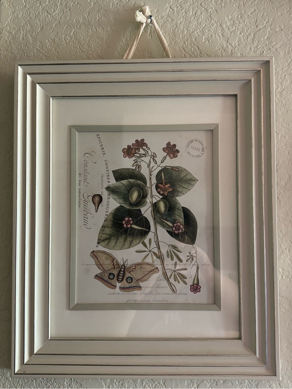 CREAM Framed Botanical Art Print - Fig Plant & Butterfly Collage (15” x 18”)